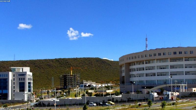 skrbt 速知信破技术平台的实时信息处理界面